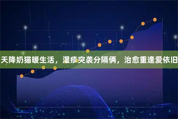 天降奶猫暖生活,湿疹突袭分隔俩,治愈重逢爱依旧