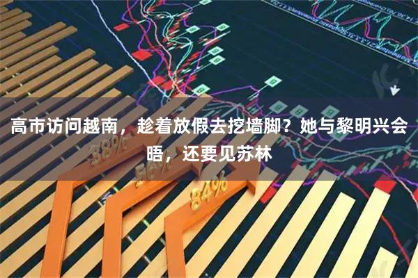 高市访问越南，趁着放假去挖墙脚？她与黎明兴会晤，还要见苏林