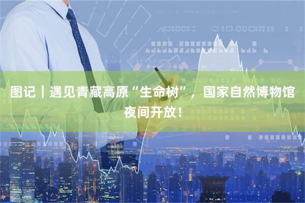 图记|遇见青藏高原“生命树”,国家自然博物馆夜间开放!